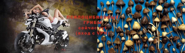 молекула духа Аша