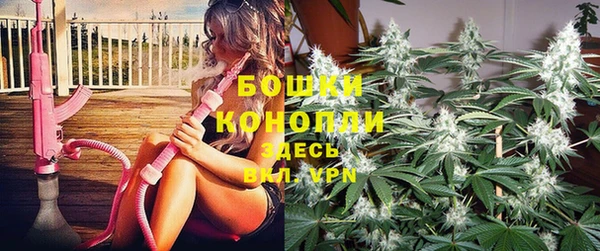 PSILOCYBIN Магадан