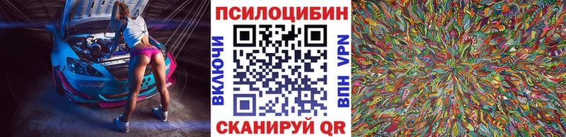 Псилоцибиновые грибы Psilocybe  Купить где  Кимовск 