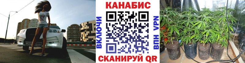 Купить где  Кимовск  Бошки марихуана семена 